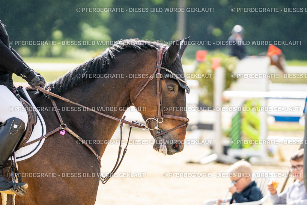 DSC05895 | Pferdegrafie