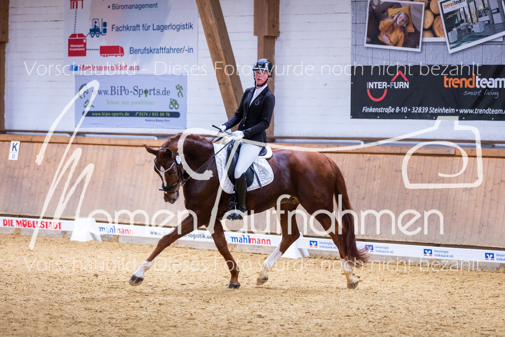 Sth-A-Dre-2St-167 | MomenTaufnahmen Pferdesportfotos