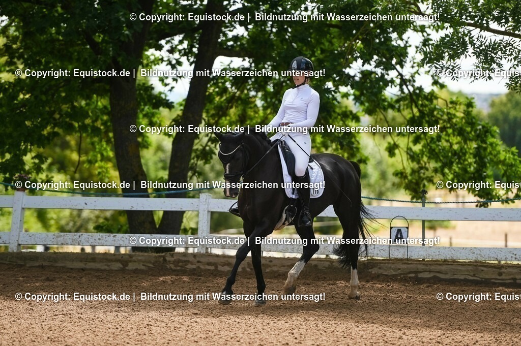 20230716_03_Dressurprfg. Kl.L - Tr._0036 | equistock