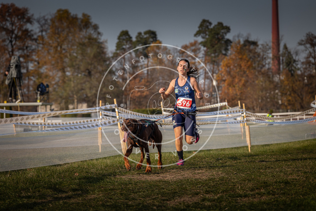 CaniXpix_0L8A0053 | Hundefotografie, Tierfotograf, Pfotenfotografie, Fotoshooting Hund, Hunde Portrait, Hundesport, Hundeportraits, Heideshooting, Hunde, Sportfotograf, Hundefotograf, Turnierhundsport, THS,  - Realisiert mit Pictrs.com