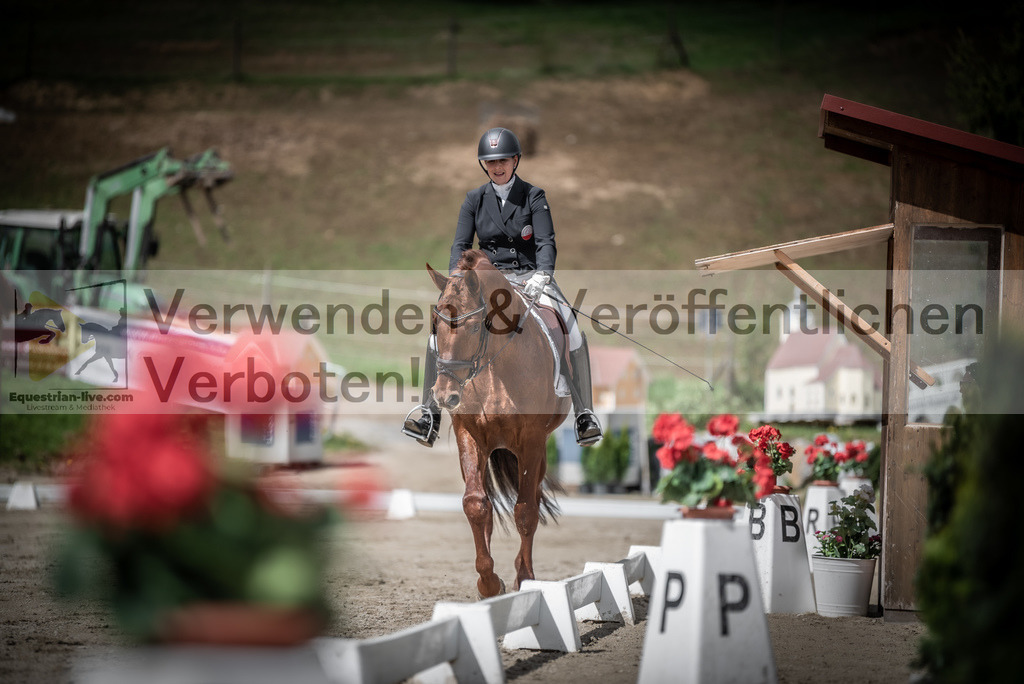 DSC_2596 | equestrian-live-com