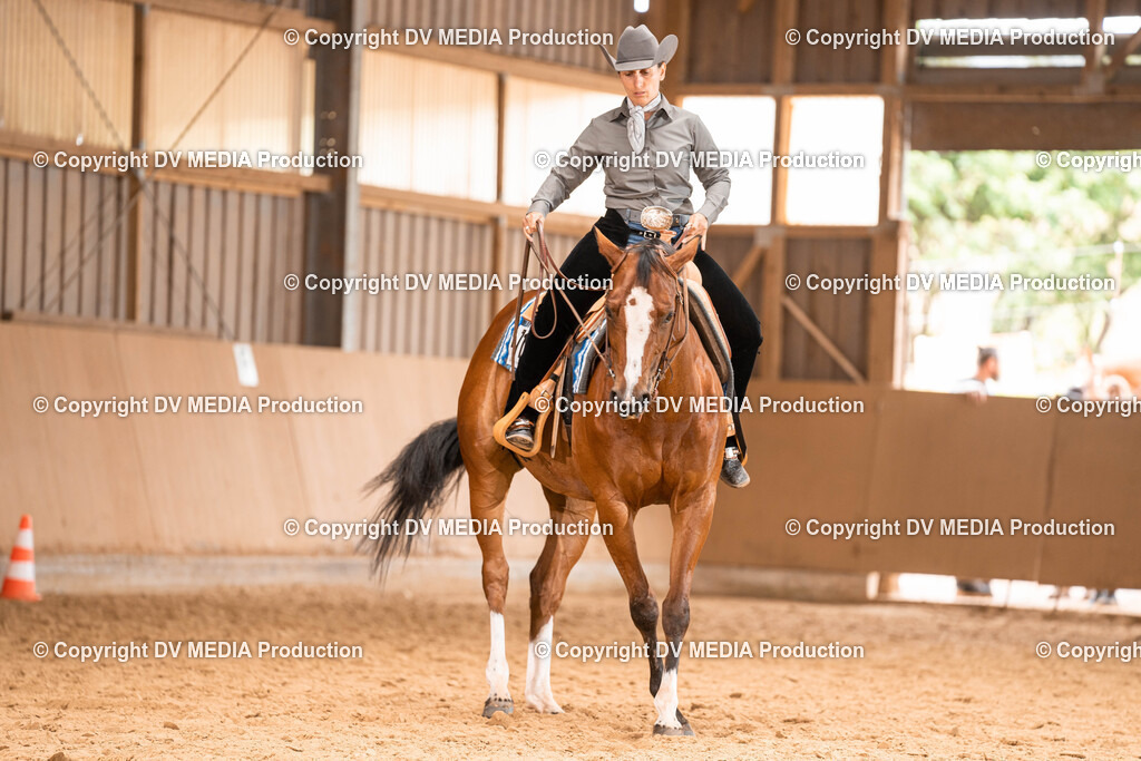 Losheim Tag 2-377 | dv-media-shop - Realisiert mit Pictrs.com