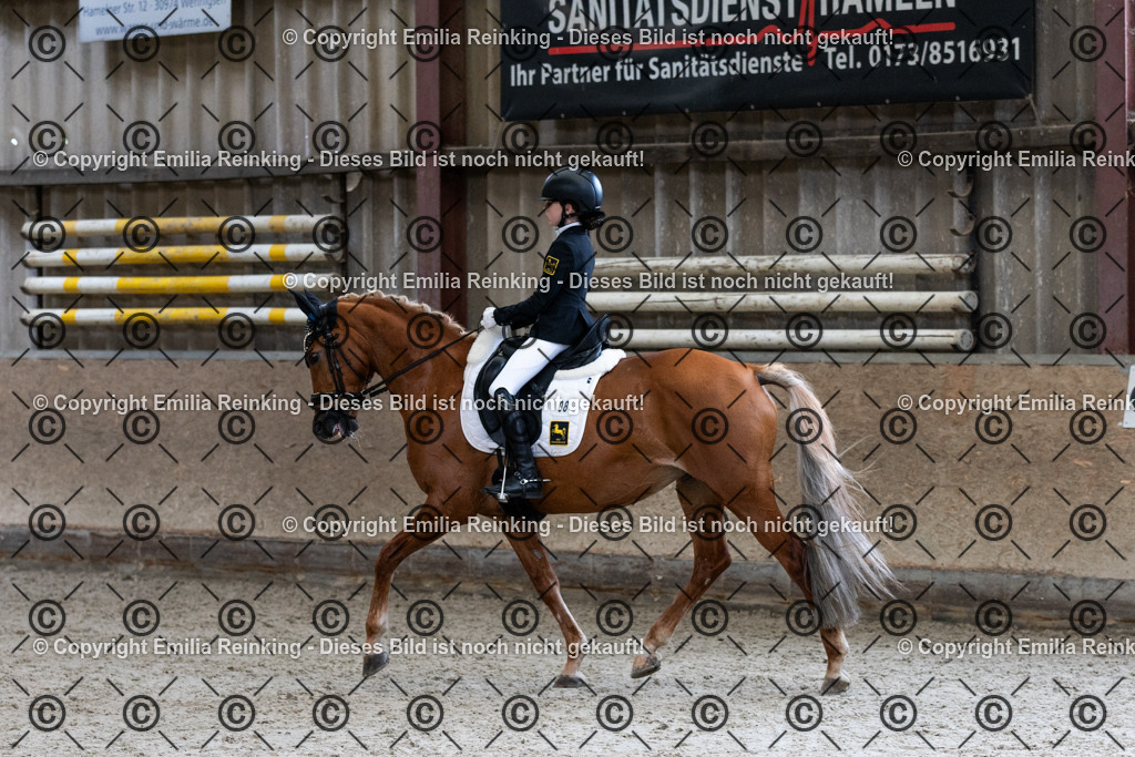 CL5A5387 | Emilia Reinking Fotografie - Realisiert mit Pictrs.com