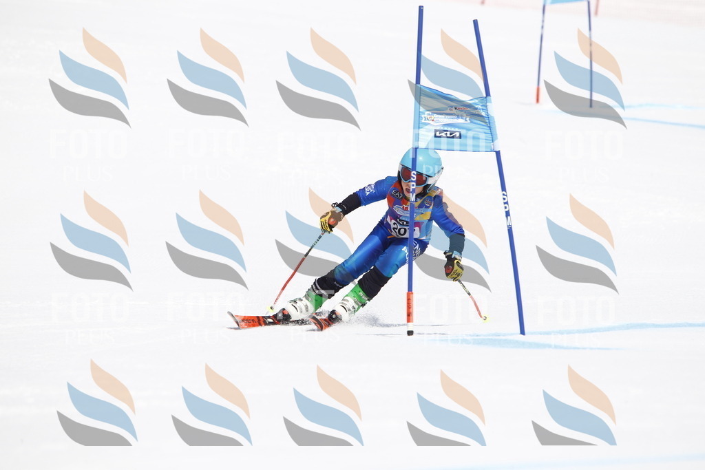 _U3G5362 | holidayphoto