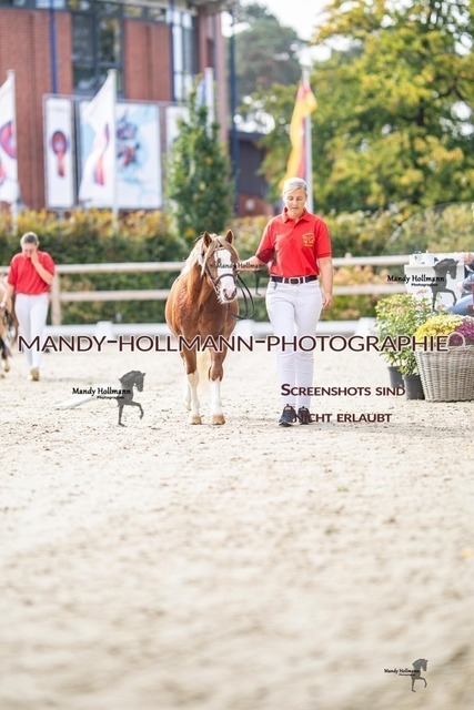 15-50 | mandyhollmannphotographie