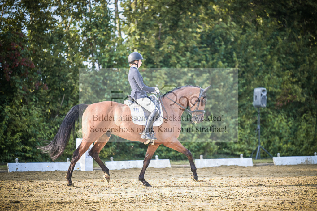 DOS_1895 | Entdecke hochwertige Reitturnierfotos von Foto Oger. Professionell, emotional und authentisch – jetzt Lieblingsmomente im Shop bestellen.Deutschlandweite Turnierfotografie. - Realisiert mit Pictrs.com