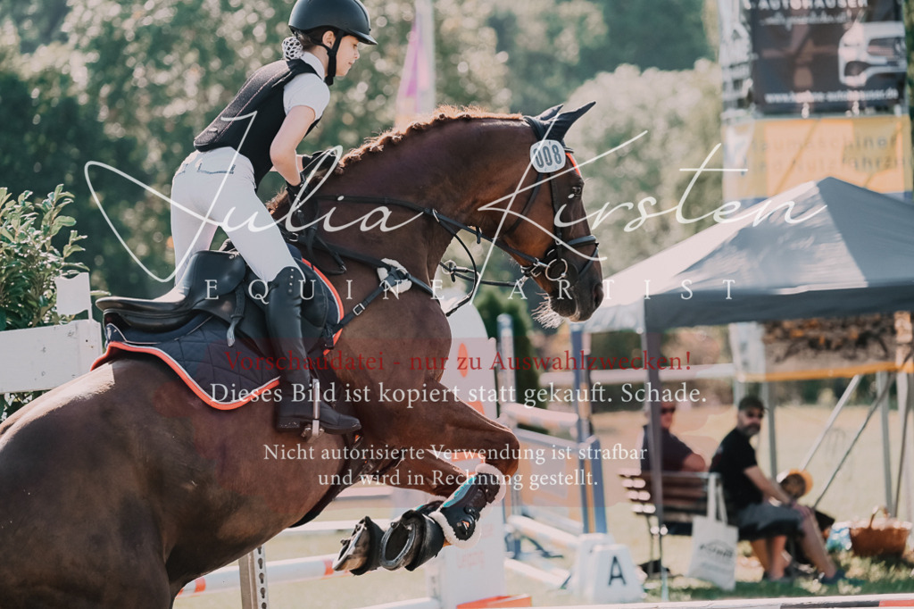 DSC_4867 | Pferde- und Turnierfotografie in Westsachsen. Pferdeportraits, Auftragszeichnungen und intuitive Kunst.
