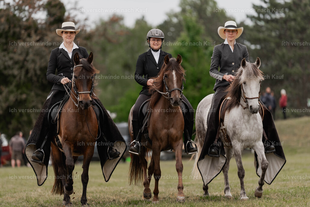 Showprogramm-472 | working equitationturnier fotograf videograf stoibphotography marixx film working equitation deutschland reitsport turnierfotografie eventfotografie equestrian events