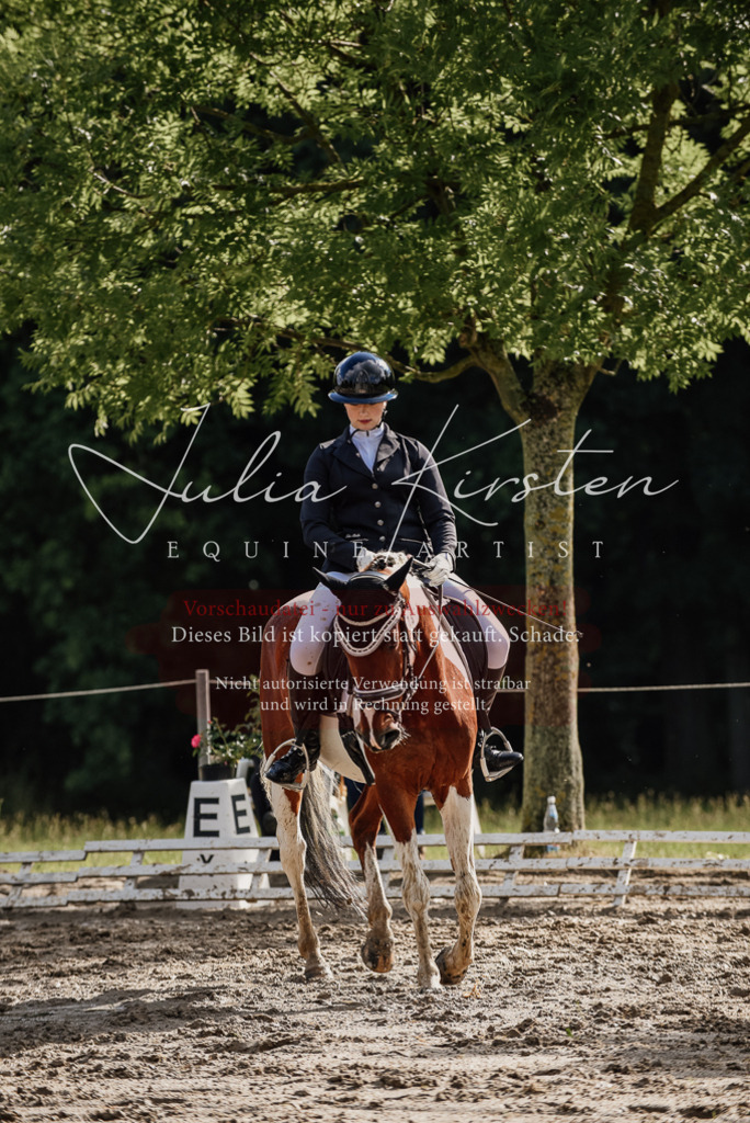 DSC_8708 | Pferde- und Turnierfotografie in Westsachsen. Pferdeportraits, Auftragszeichnungen und intuitive Kunst.