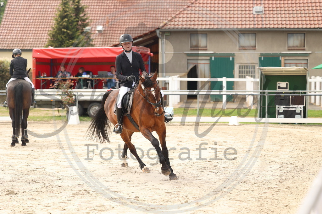 994A7531 | sabrinanicolaifotografie - Realisiert mit Pictrs.com