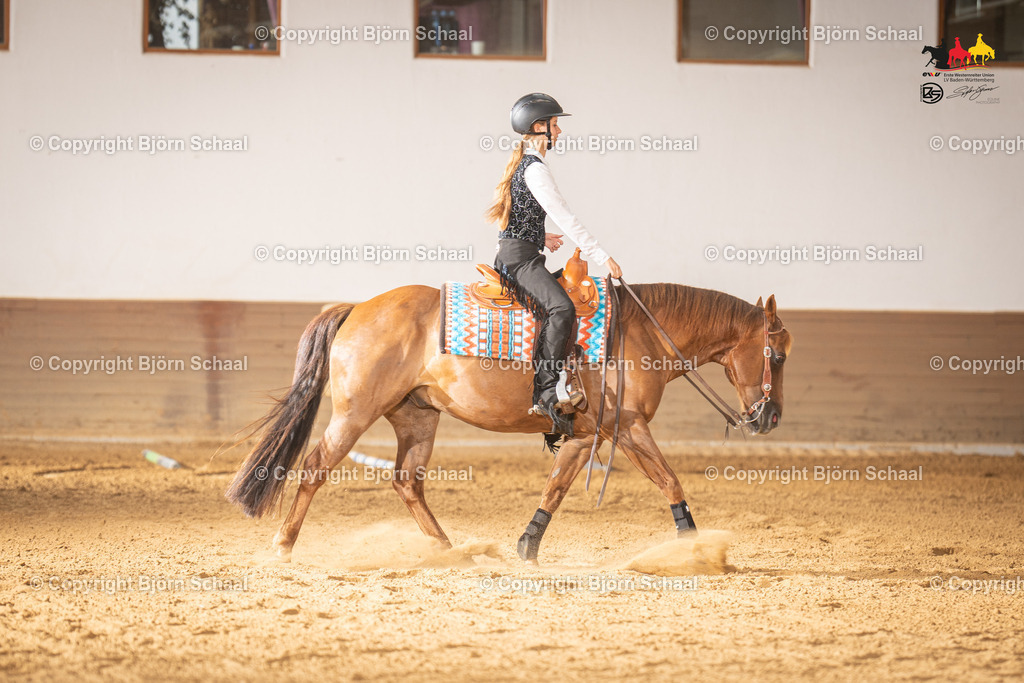 LMS06403 | BS-foto