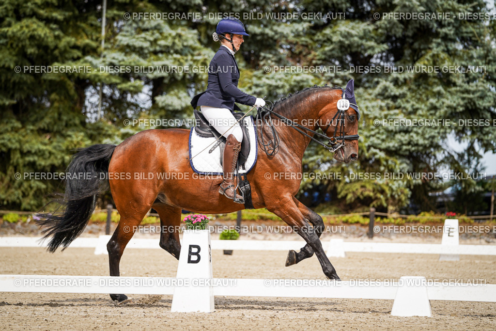 DSC05213 | Pferdegrafie