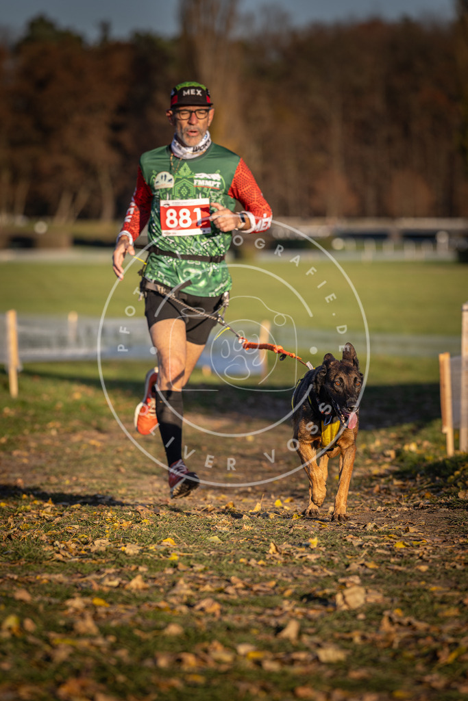 CaniXpix_DV3A4339 | Hundefotografie, Tierfotograf, Pfotenfotografie, Fotoshooting Hund, Hunde Portrait, Hundesport, Hundeportraits, Heideshooting, Hunde, Sportfotograf, Hundefotograf, Turnierhundsport, THS,  - Realisiert mit Pictrs.com