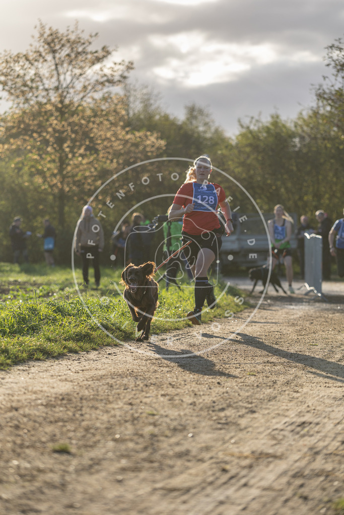 Pfotenfotografie.de_DV3A2925 | Hundefotografie, Tierfotograf, Pfotenfotografie, Fotoshooting Hund, Hunde Portrait, Hundesport, Hundeportraits, Heideshooting, Hunde, Sportfotograf, Hundefotograf, Turnierhundsport, THS, canicross - Realisiert mit Pictrs.com