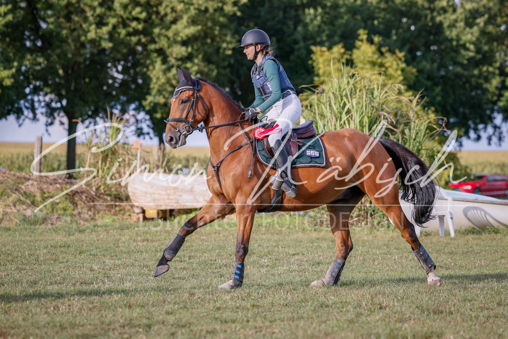 20250905-_3LI2541 | Tierfotografie Pferde, Hunde, Katzen, Haustiere.
Turnierfotografie Reitturniere, Reiten, Springreiten, Dressur in Hanau, dem Main-Kinzig-Kreis und dem Rhein-Main- Gebiet um Frankfurt