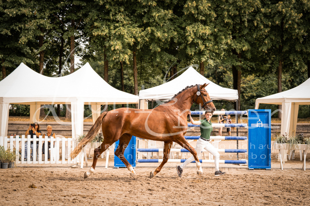 7.Fr00065 | Leoni Ertmer Photography - Realisiert mit Pictrs.com