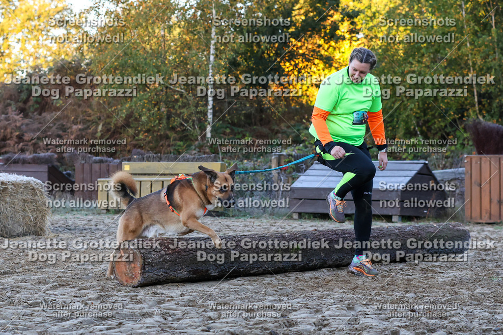 Dog Paparazzi - Strongdog 10-25-298 | Dog Paparazzi Jeanette Grottendiek Fotografie & Videografie - Realisiert mit Pictrs.com