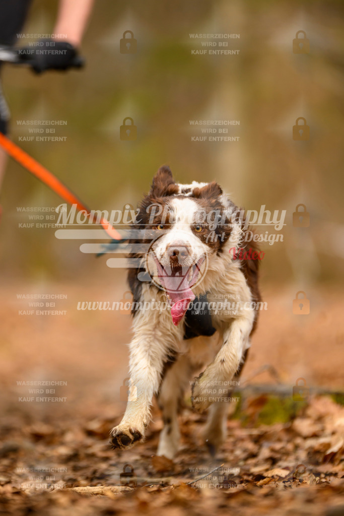 MompixPhotography_Habay2025_SA_Bike-158 | PayLife