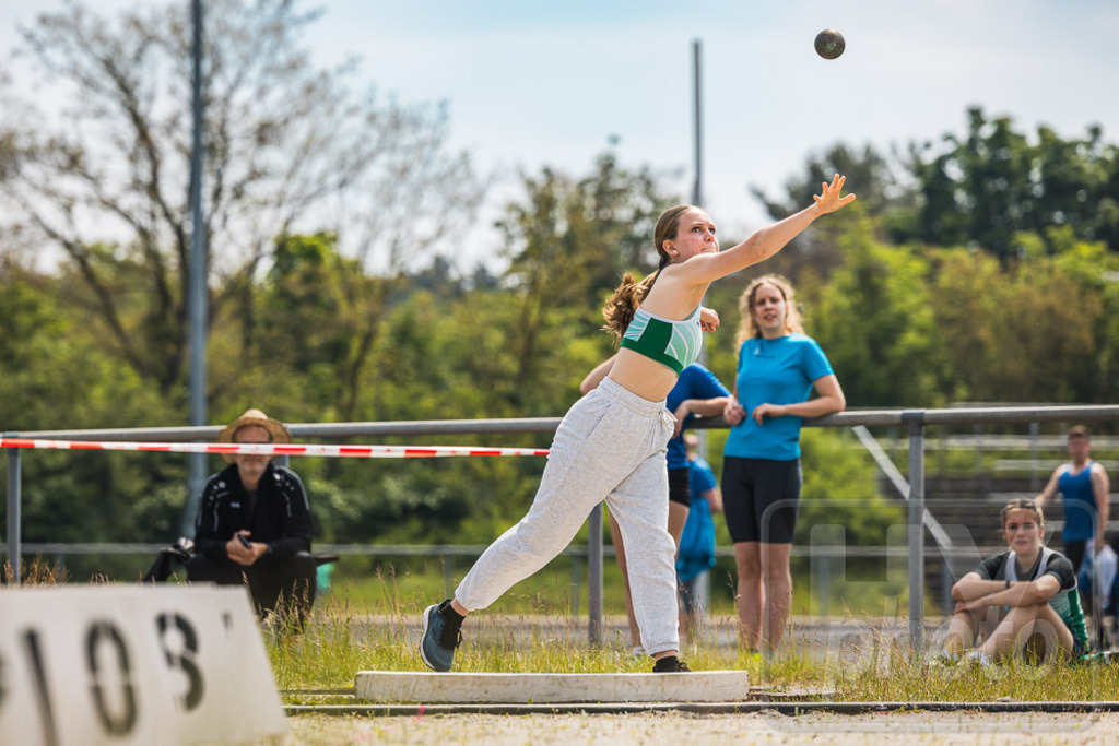 GM_20240511_279452_Canon EOS R5_GMHY3848_sRGB | Webshop der Firma HY-photo, bietet Fotos und Fotoprodukte vorrangig mit Motiven aus Hoyerswerda und Umgebung, aber auch weltweit. Fotograf: Gernot Menzel - Realisiert mit Pictrs.com