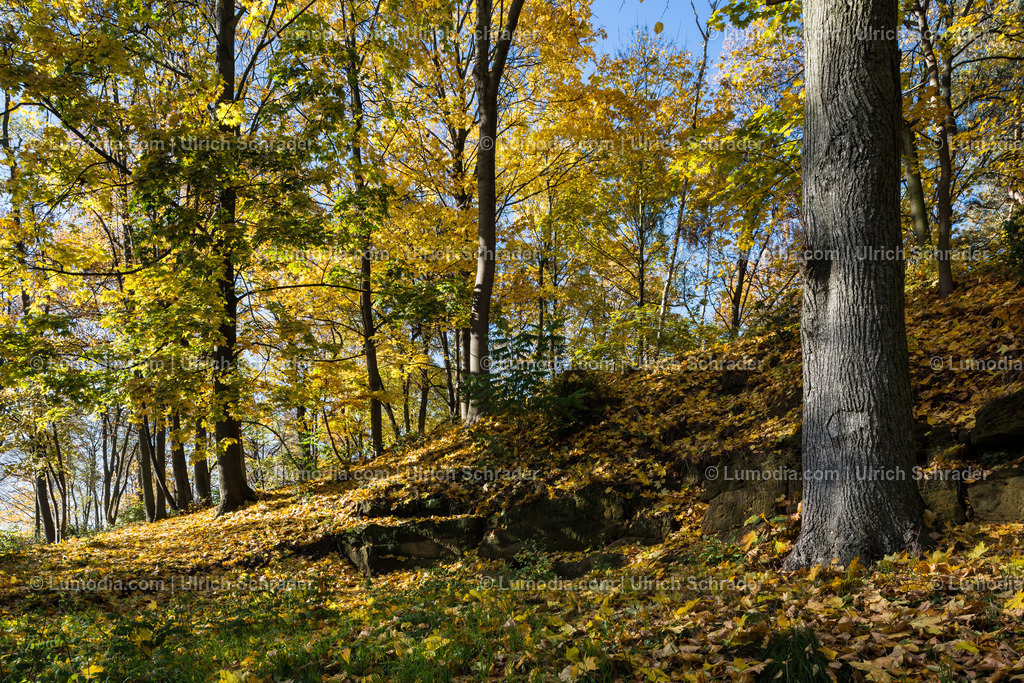 10049-4640 - Landschaftspark Spiegelsberge | Stockfoto und Bilderpool mit Bildmaterial aus Deutschland, dem Harz, Halberstadt, Quedlinburg, Wernigerode und weltweit. Qualitativ hochwertige und professionelle Fotos anschauen und kaufen. - Realisiert mit Pictrs.com