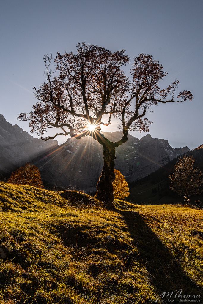 Herbst im Großen Ahornboden | Dies ist der Online-Shop von naturfoto.michaelthoma.de. Ich bin leidenschaftlicher Naturfotograf und fotografiere von der Andromedagalaxie bis zum Zwergtaucher, von der Ameise bis zum Orionnebel alles was mit Natur zu tun hat. Hier kann eine Auswahl meine - Realisiert mit Pictrs.com