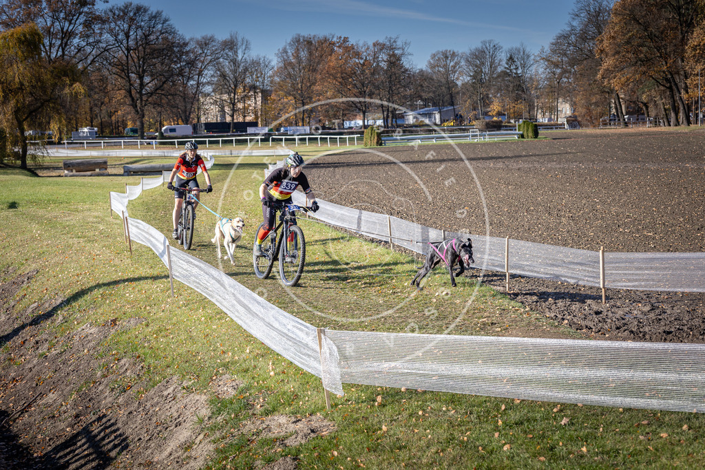 CaniXpix_DV3A6912 | Hundefotografie, Tierfotograf, Pfotenfotografie, Fotoshooting Hund, Hunde Portrait, Hundesport, Hundeportraits, Heideshooting, Hunde, Sportfotograf, Hundefotograf, Turnierhundsport, THS,  - Realisiert mit Pictrs.com
