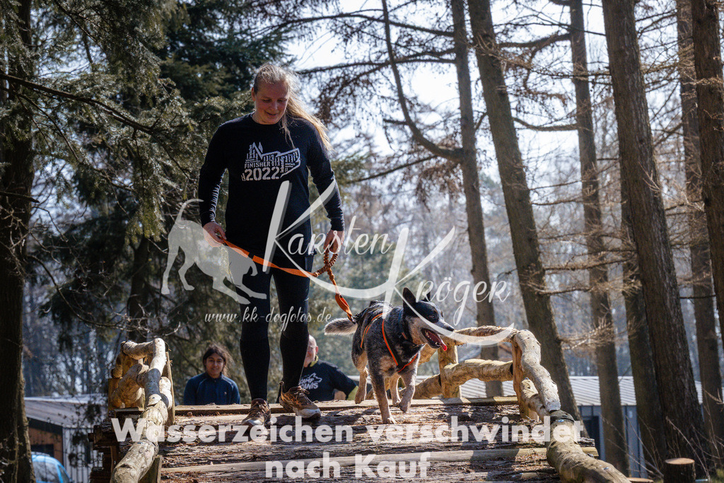 1340_ZZ95885 | kk-dogfotos