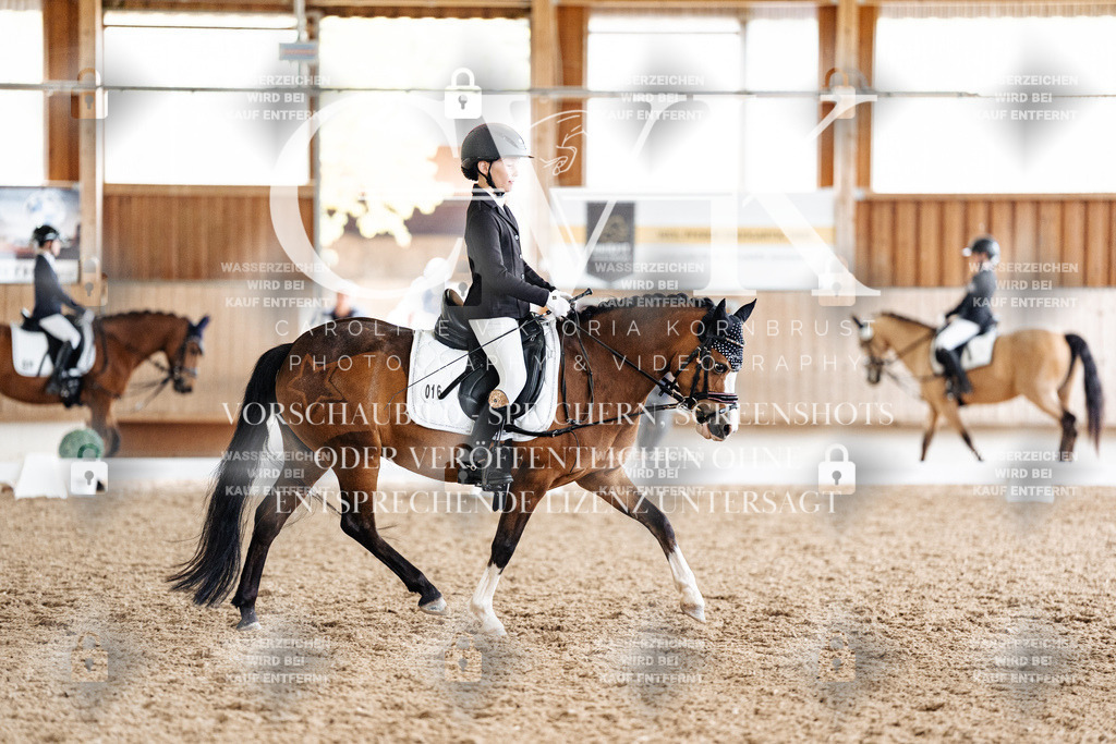 CK901437 | Turnierfotografie Pferdefotografie Trier Rheinland-Pfalz Pferdesport Reitsport Tierfotografie Sportfotografie Pferdevideo Pferdevideografie Equestrianvideography equestrianphotography  - Realisiert mit Pictrs.com