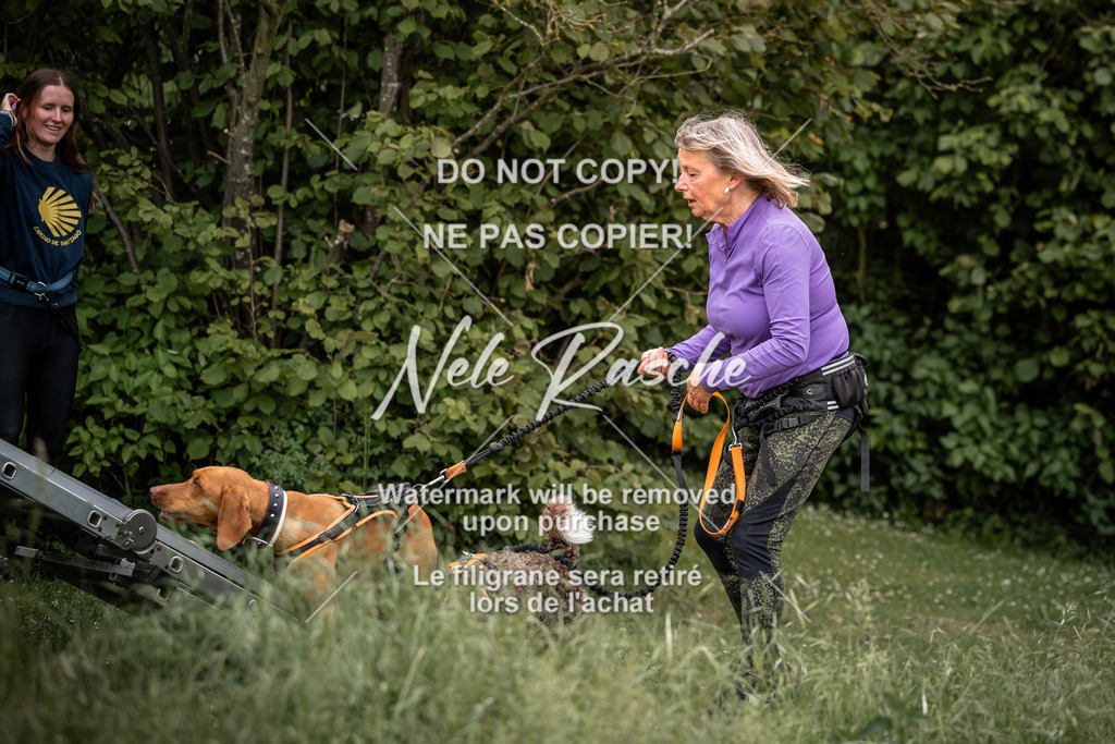 nelerasche_So-funtrail_76 | nelerasche