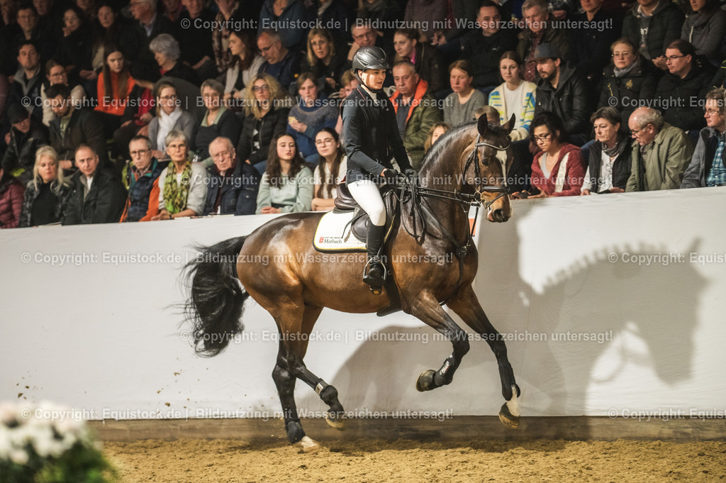 20240302_Hengstvorstellung_Marbach_TOMsPiC_1382-2 | equistock