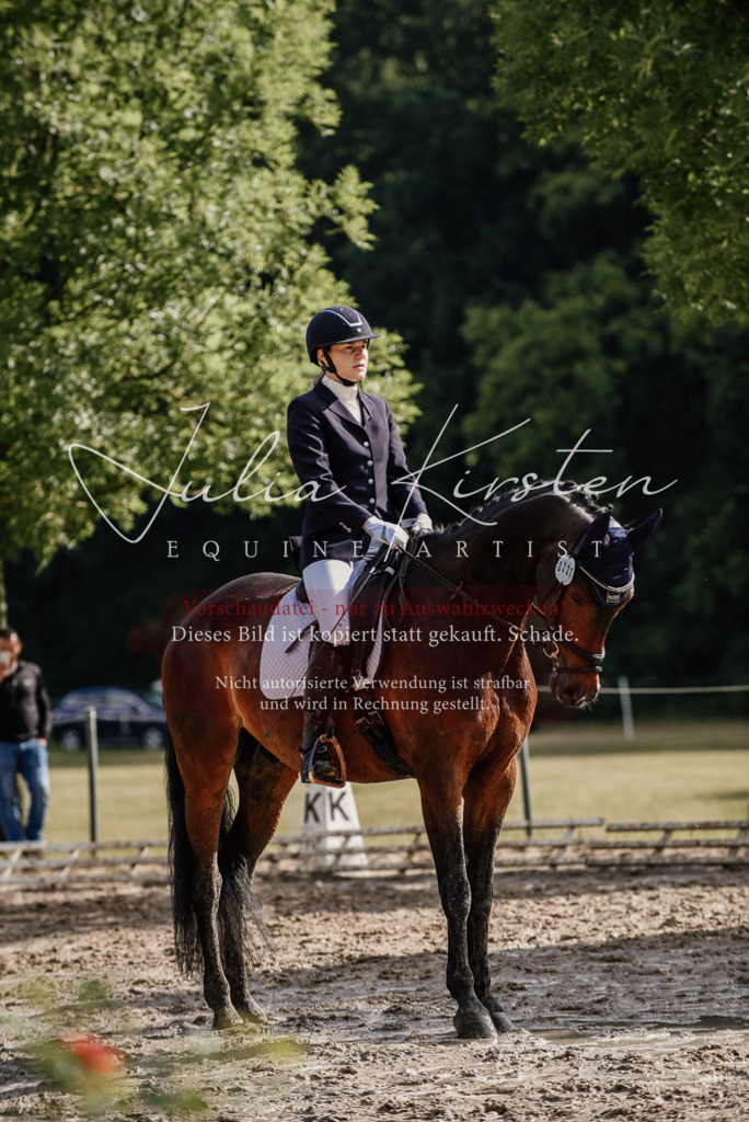 DSC_8819 | Pferde- und Turnierfotografie in Westsachsen. Pferdeportraits, Auftragszeichnungen und intuitive Kunst.