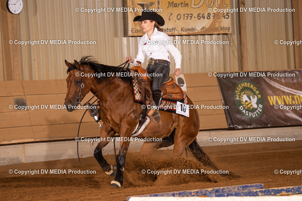 NID01202 | dv-media-shop - Realisiert mit Pictrs.com