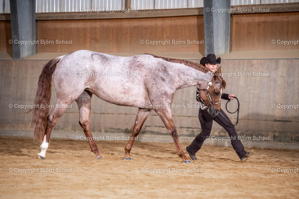 SBS09754 | BS-foto