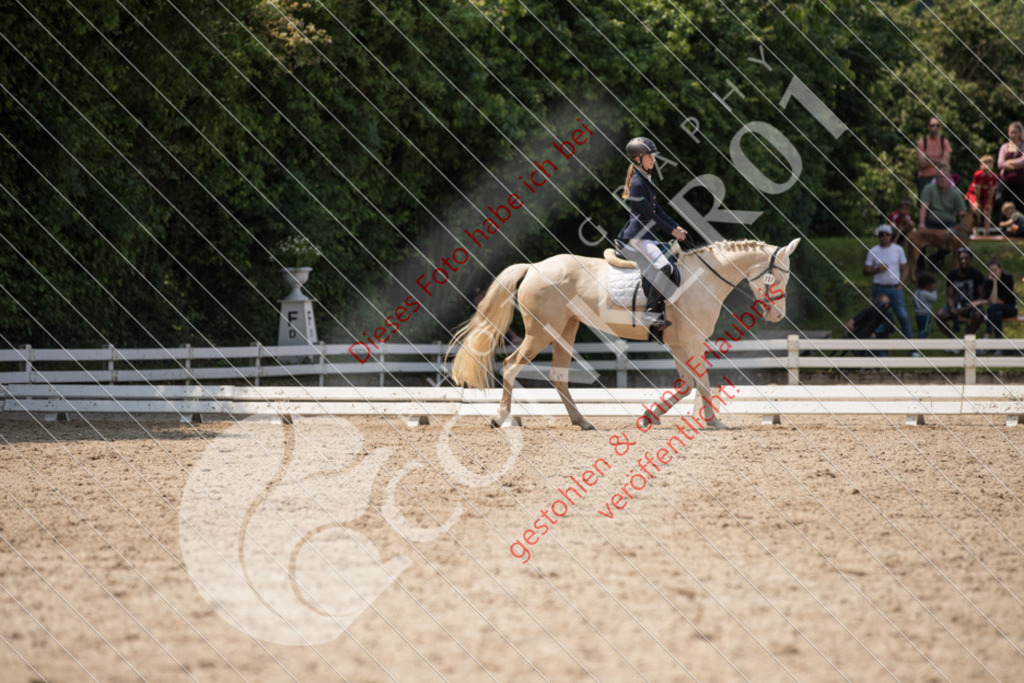 IMG_3787 | Sport-, Event- und Tierfotos in Profiqualität. Einfach auswählen, bestellen und herunterladen. Dein Moment – perfekt festgehalten.