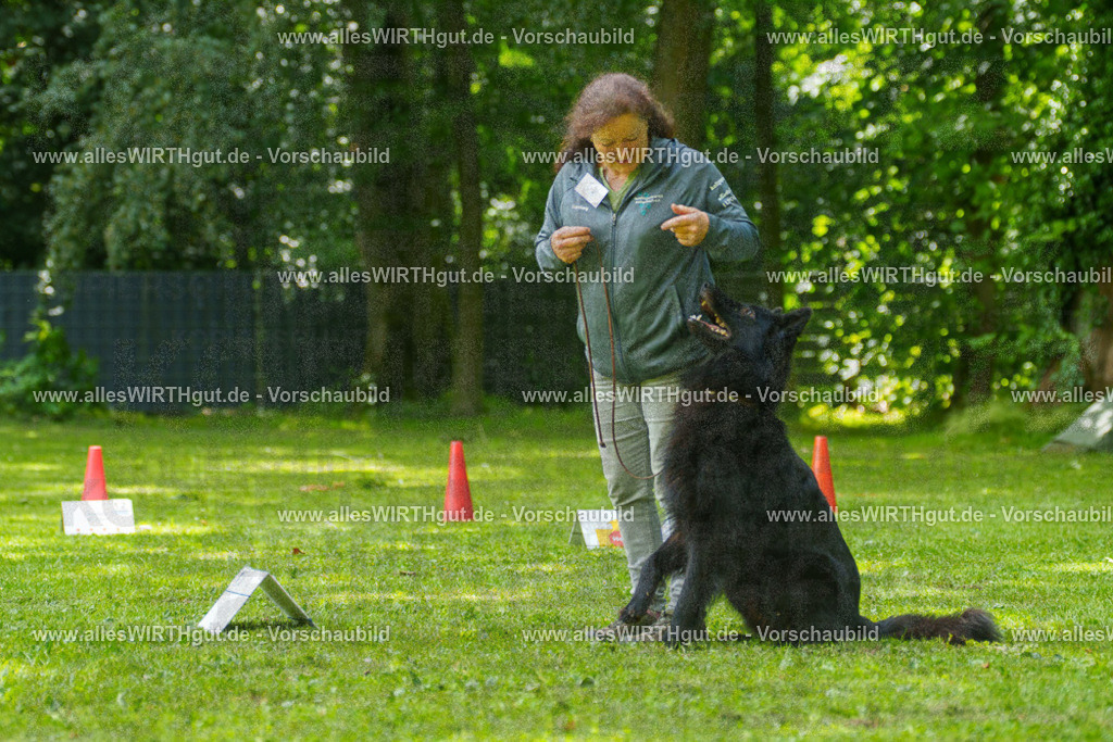 @allesWIRTHgut_Tierfotografie - www.allesWIRTHgut.de - 7R505660 | Professionelle Tierfotografie in Mönchengladbach von Daniel Wirth (allesWIRTHgut). Liebevolle & natürliche Bilder von Hunden & Katzen für unvergessliche Erinnerungen.