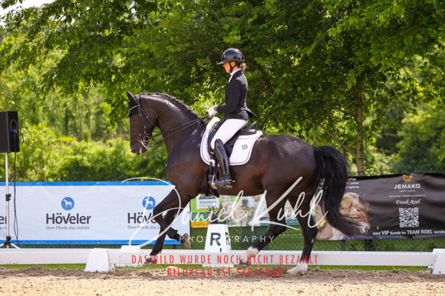 DKP41141 | Turnierfotos kaufen im Webshop von Daniel Kuhl Photography – entdecke professionelle Reitsportfotos aus Turnieren & Events. Hochwertige Turnierbilder online bestellen & sichern. Jetzt Fotos von Reitsportturnieren kaufen!