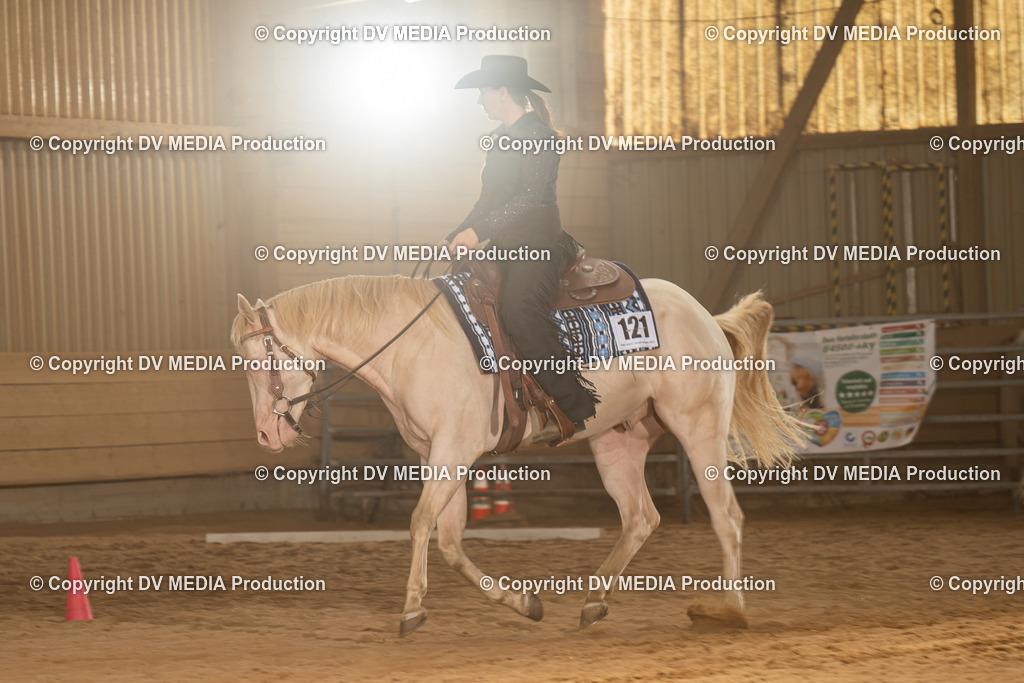 NID03139 | dv-media-shop - Realisiert mit Pictrs.com