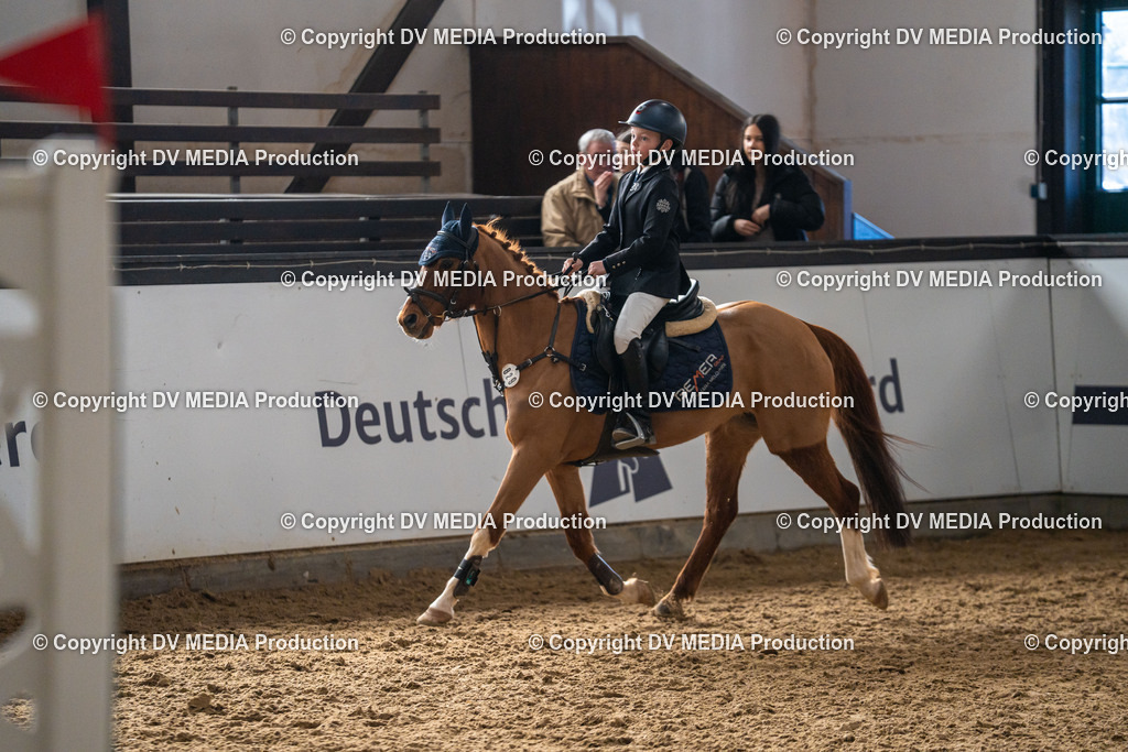 Kranichstein Tag 2-669 | dv-media-shop - Realisiert mit Pictrs.com