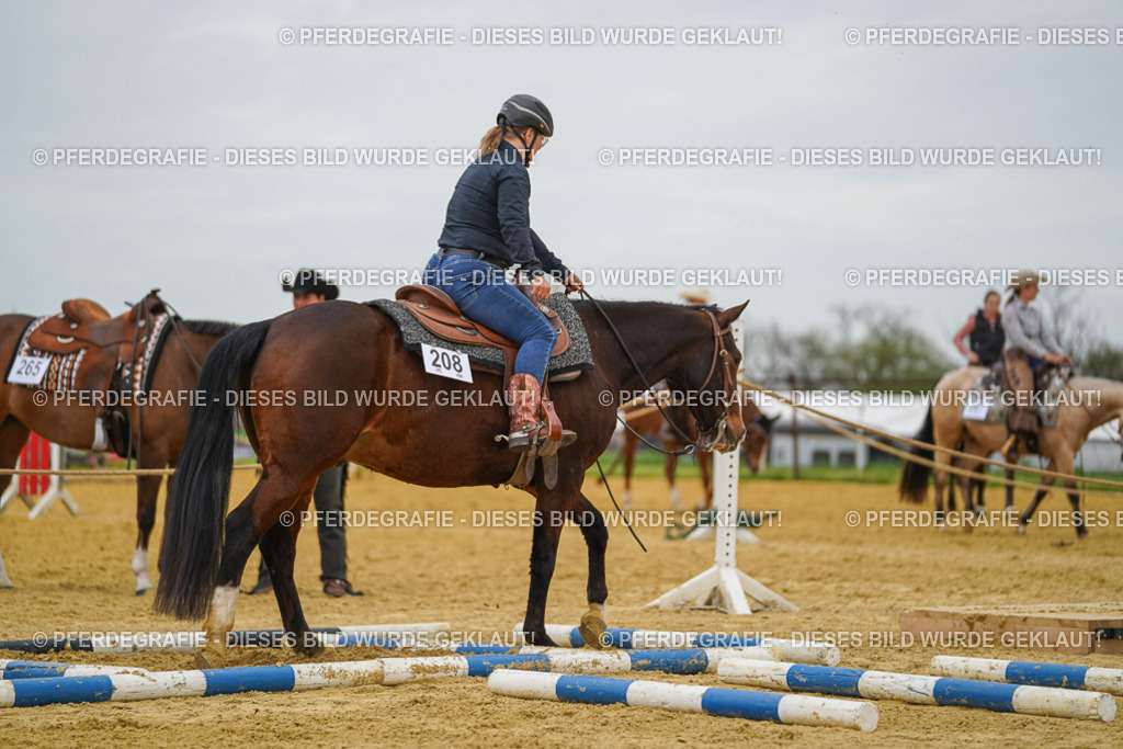 DSC02823 | Pferdegrafie