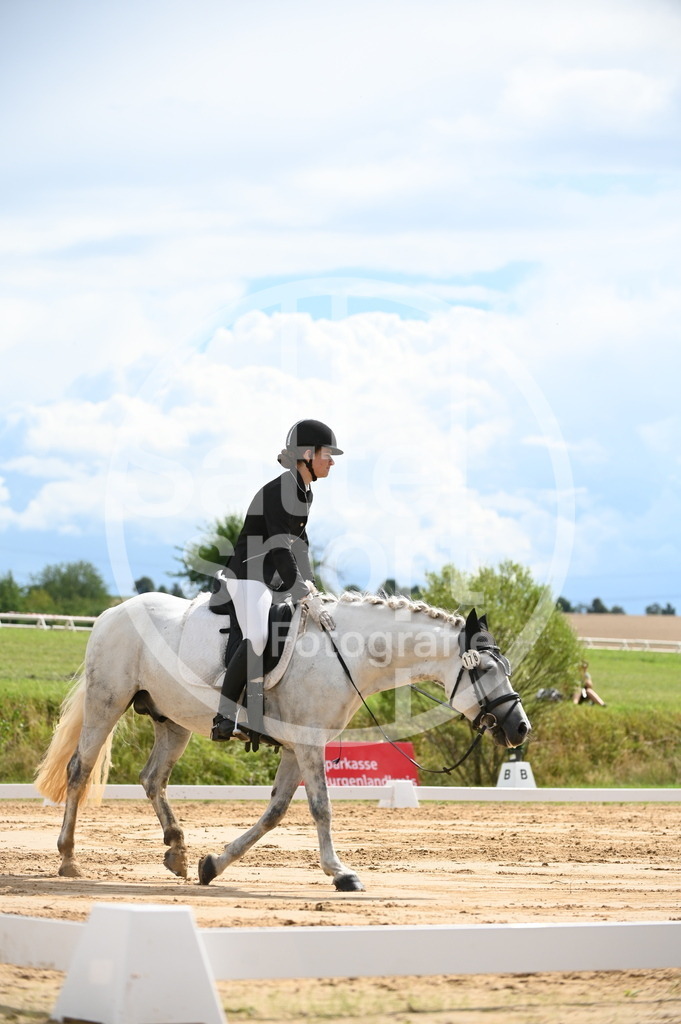 DSC_7612 | sattelsport - Realisiert mit Pictrs.com