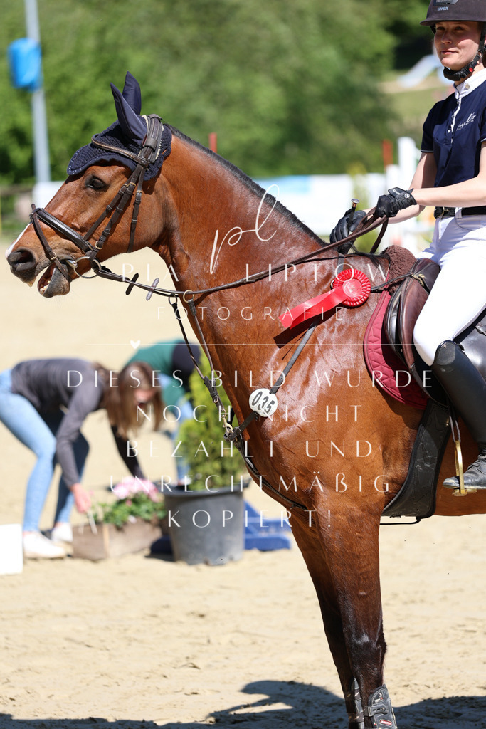 IMGS7632 | pl-fotografie