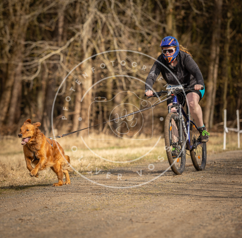 DV3A4482 | Hundefotografie, Tierfotograf, Pfotenfotografie, Fotoshooting Hund, Hunde Portrait, Hundesport, Hundeportraits, Heideshooting, Hunde, Sportfotograf, Hundefotograf, Turnierhundsport, THS,  - Realisiert mit Pictrs.com