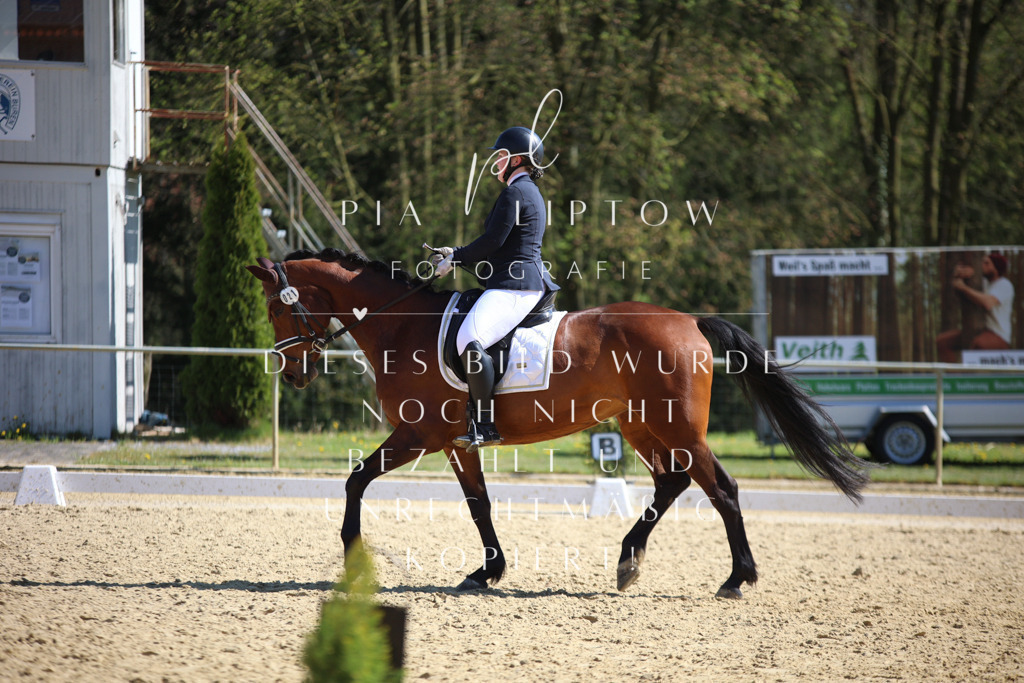 IMGT8044 | pl-fotografie