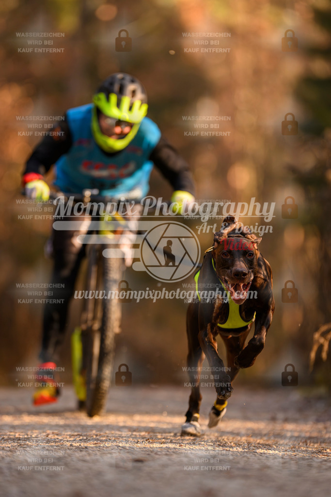 MompixPhotography_DM_AKDM_SO_2025_Scooter-160 | PayLife