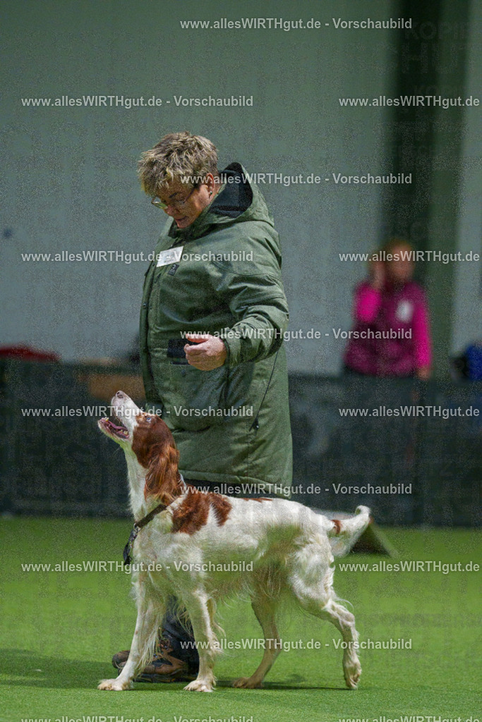 7R504804 | Professionelle Tierfotografie in Mönchengladbach von Daniel Wirth (allesWIRTHgut). Liebevolle & natürliche Bilder von Hunden & Katzen für unvergessliche Erinnerungen.