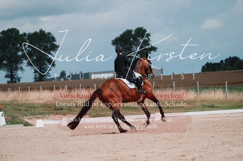 DSC_4374 | Pferde- und Turnierfotografie in Westsachsen. Pferdeportraits, Auftragszeichnungen und intuitive Kunst.