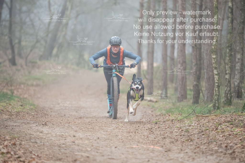 Scooter1-94 | stephaniefillaphotographie - Realisiert mit Pictrs.com