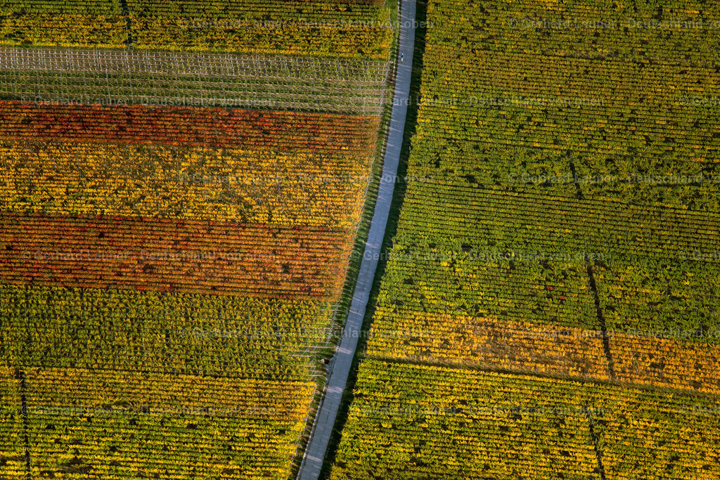 3905378 | Weinberg bei Escherndorf