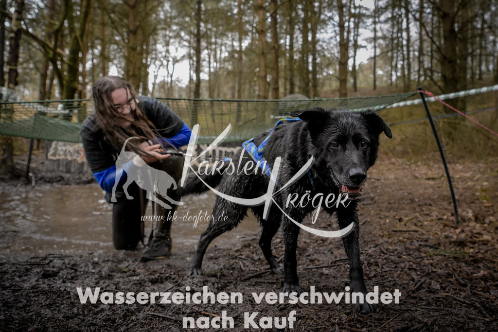 0943_ZZ98277 | kk-dogfotos