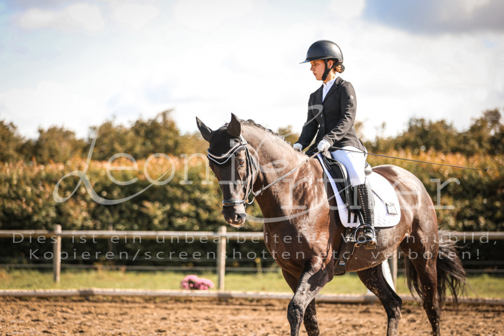 07.SoDrE00270 | Leoni Ertmer Photography - Realisiert mit Pictrs.com